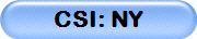 CSI: NY - Music played in CSI NY